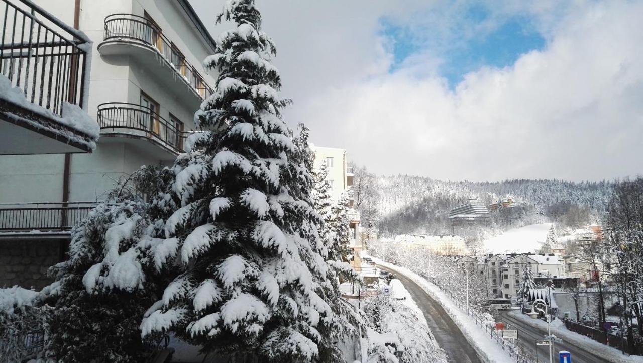 Domy Wczasowe Tryumfy Acomodação com café da manhã Krynica Zdroj Exterior foto